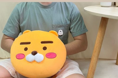 【現貨】ryan cushion