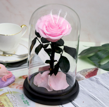 【聖誕限定首10個半價發售】【送禮專用】玫瑰乾花玻璃座｜永久保存你的愛意