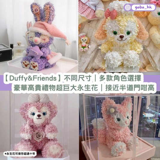 【永生花系列】Duffy & Friends系列超巨型永生花|最啱節日送畀女朋友